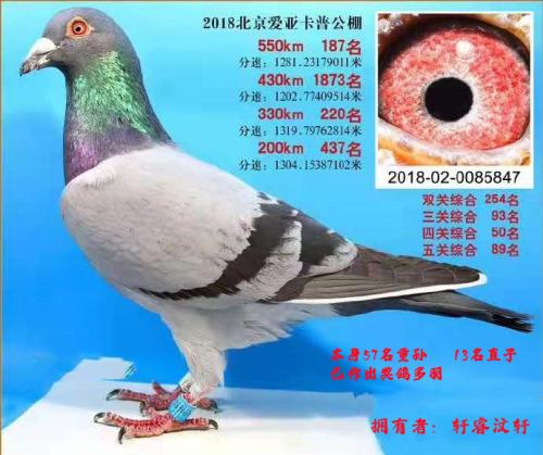 ���ճɼ���