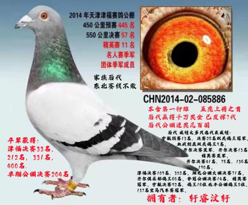 ����*����