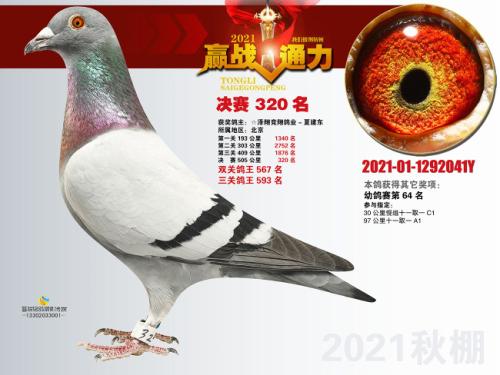 ͨ���׸���64��