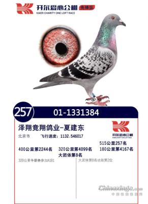 ����257��