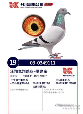 ����19��