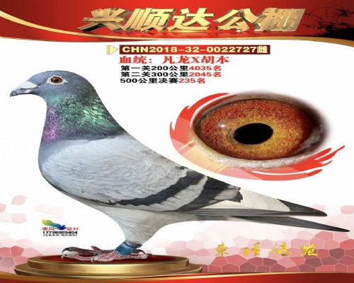 ����235��