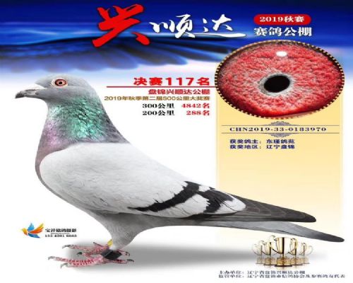 ����117��