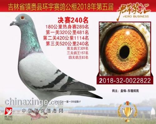 �����Ӵ�