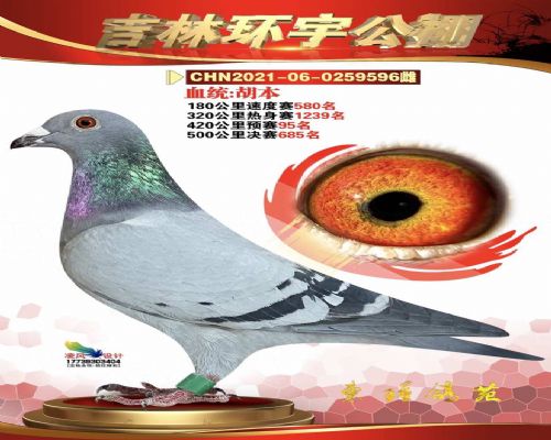 �������Ԥ��95��