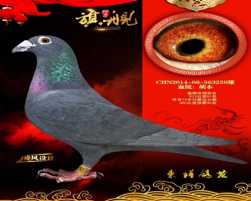 ����51��