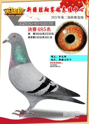 2021��ʤ��485��