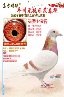 2022�괺ƽ��149��