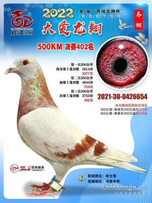 2022�괺��402��