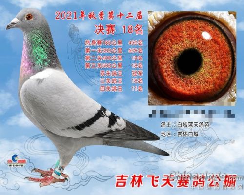 ����x��������