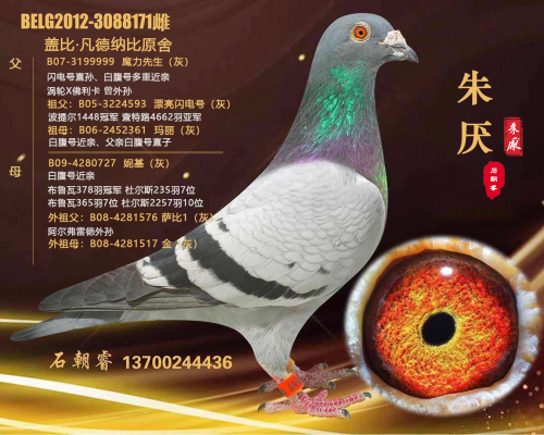 �����ָ�