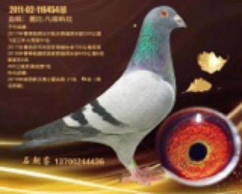 �����ָ�