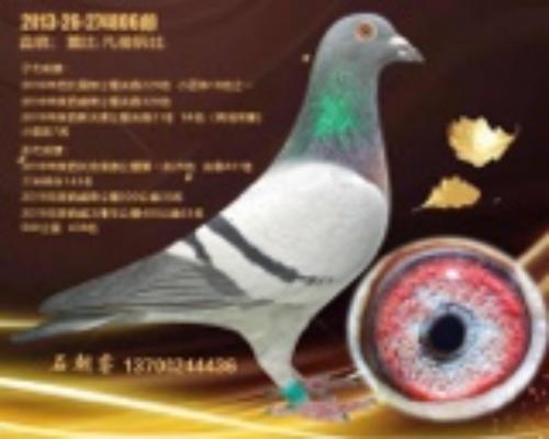 �����ָ�