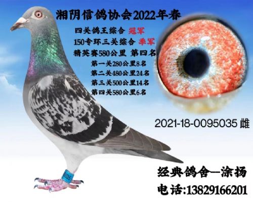 2022괺ĹۺϹھ