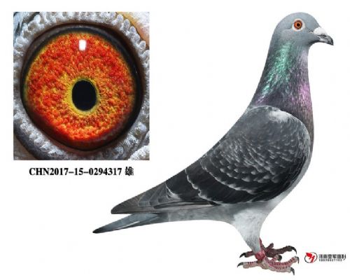 �����������ھ�������˹���ֱ��