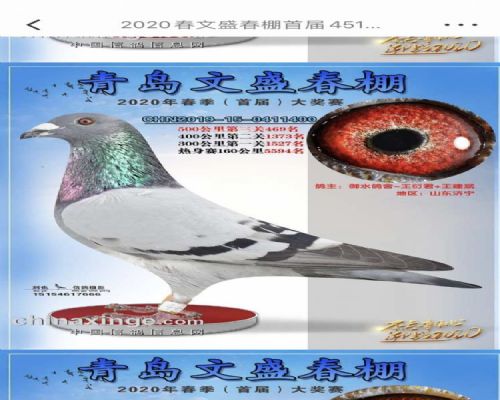 2020�괺�ൺ��ʢ�������469��