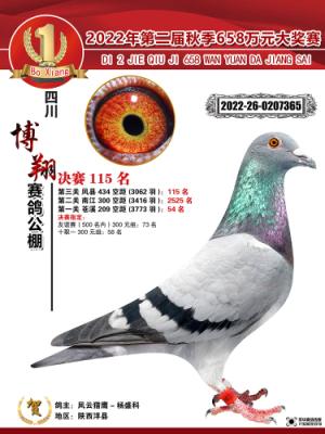 ���蹫��115��