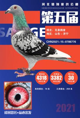 2021�����������30��