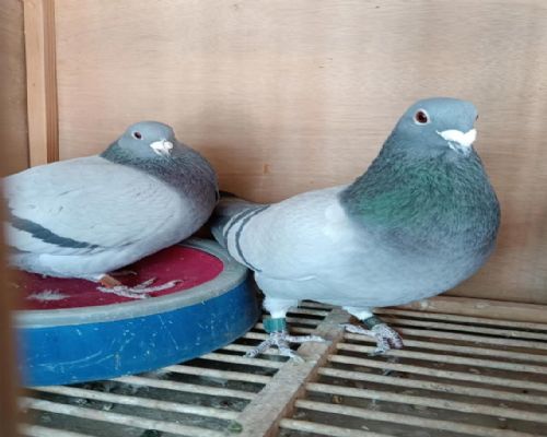 ��������������222