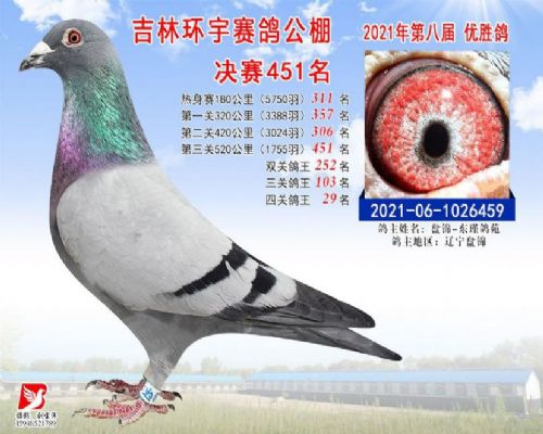 ������������29