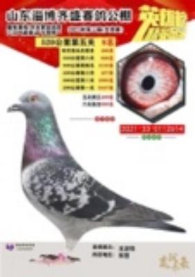 ��ʢ21����