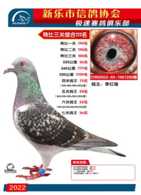 �����ۺ�111