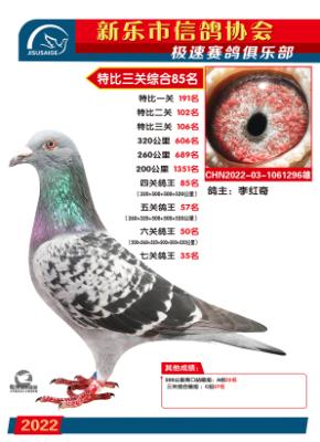 �����ۺ�85