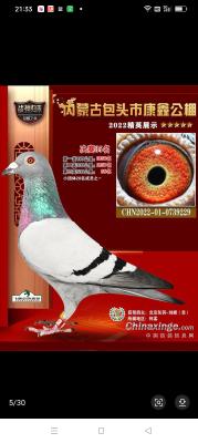 ���ɿ��ι������35��