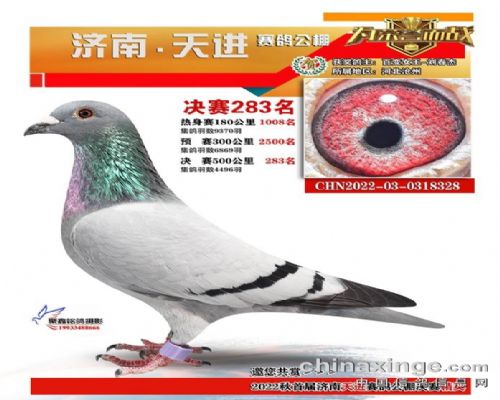 ɽ���������283��