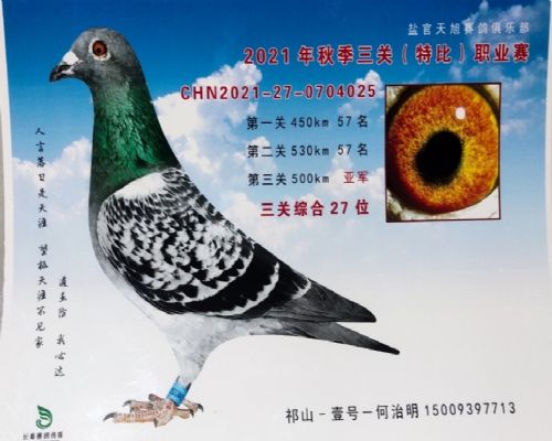 �ι�������ֲ�