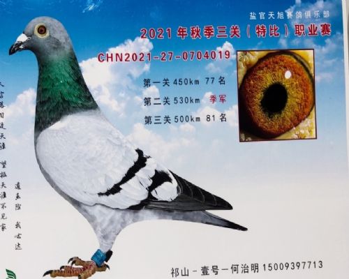 �����ι�������ֲ�