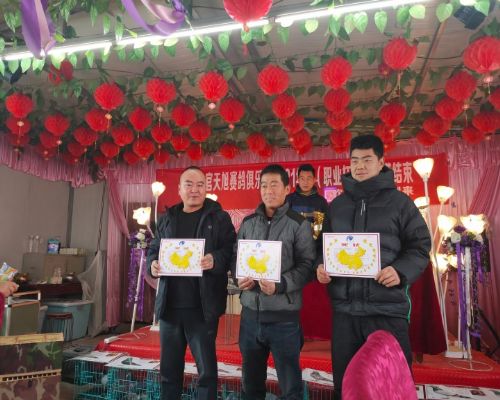 �����ι�������ֲ�