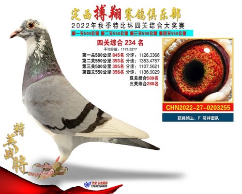 ����������ֲ�