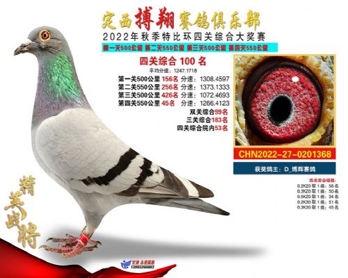 ����������ֲ�