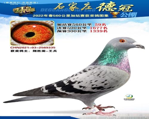 �¹ڴ����վ��59��