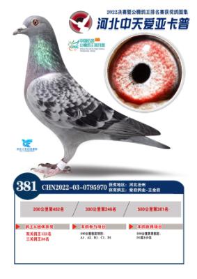 ���ո���36��