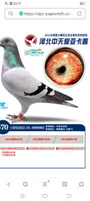 570