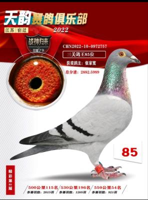 0059425��Ů