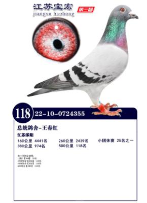 ���깫�����118��