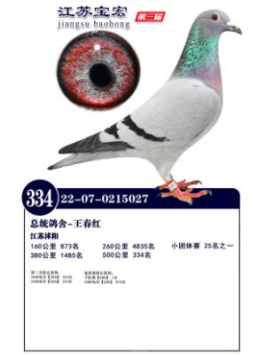 ���깫�����334��
