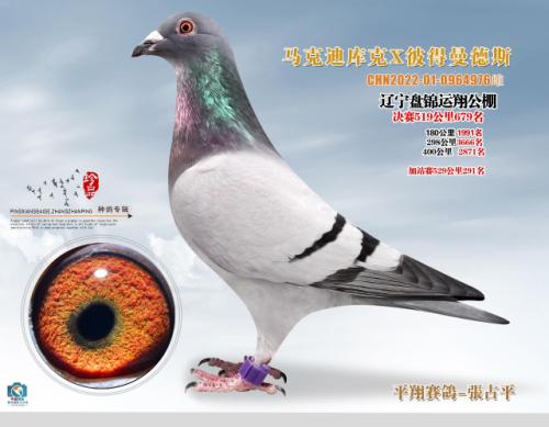 ���˵Ͽ����˵�����˹