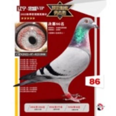 ���� �ҵ���