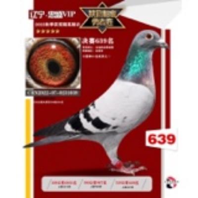 ���� �ҵ���