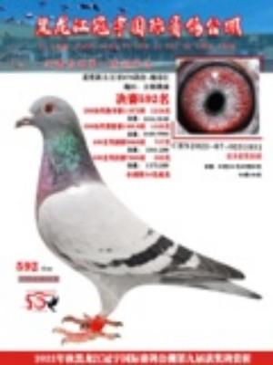 ���� �ҵ���