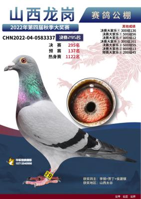 ��Ӣ������