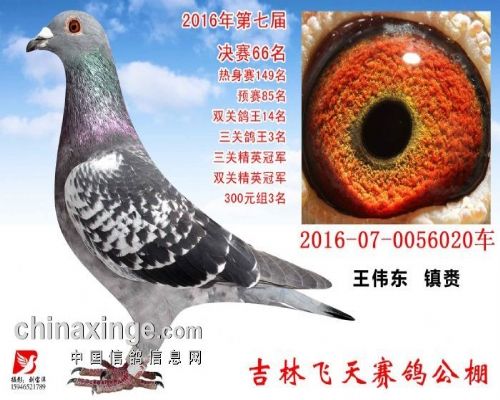 ����֮����ֱϵ