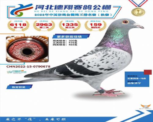 2022��ӱ����蹫�����159��