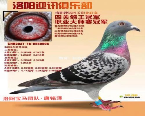 2021������ӭѶ���ֲ��Ĺظ����ܹھ���ְҵ��ʦ���ܹھ�