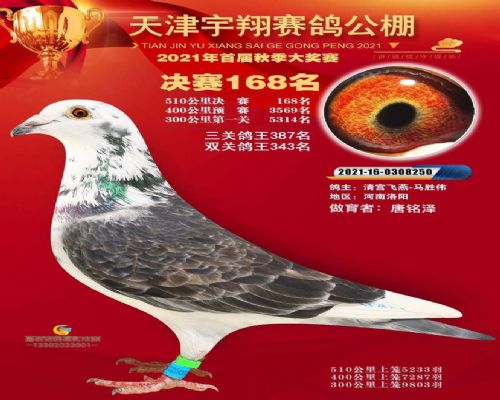 2021������������빫��500�������168��