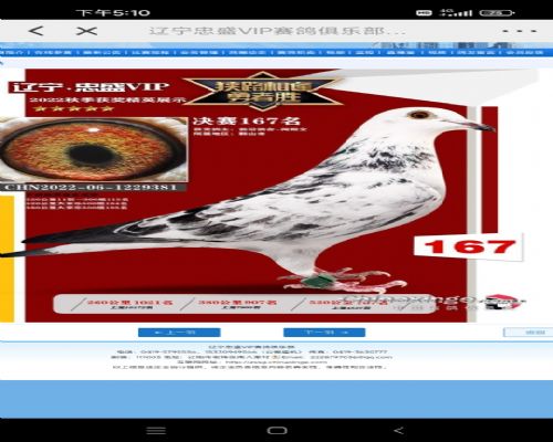 ������01